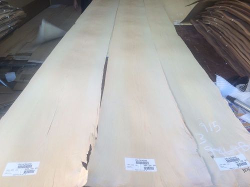 Wood Maple   Veneer  113x9,13,14,  total 3pcs RAW VENEER  1/46 N915.