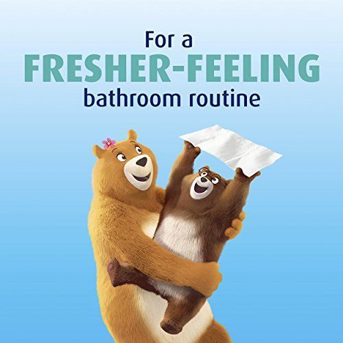 NEW Charmin Freshmates Flushable Wipes 40 Count Refills; Pack of 12; 480 total