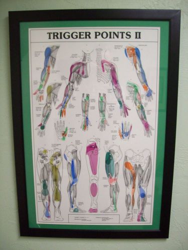 Massage/Chiropractic Trigger Point Chart Set Black Framed