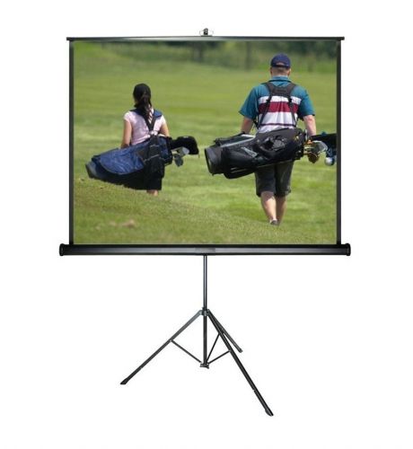 Sapphire STS200 2m x 2m Projection Screen