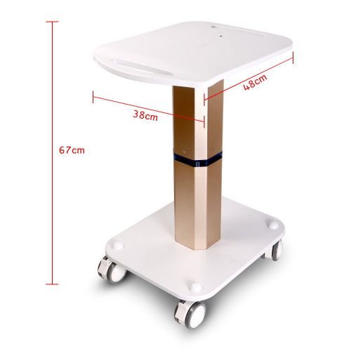 Beauty Salon Trolley Display Stand for Salon Use Rolling Cart Spa Trolley Salon