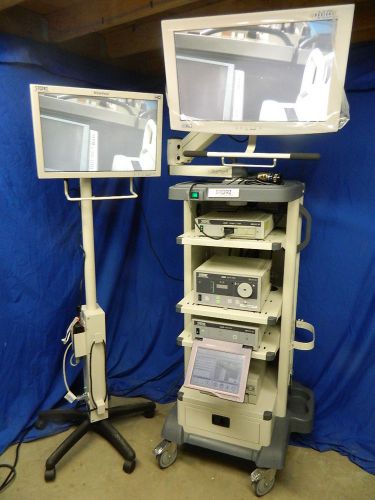 Karl Storz Image 1 HD Video Endoscopy System w/Slave Monitor