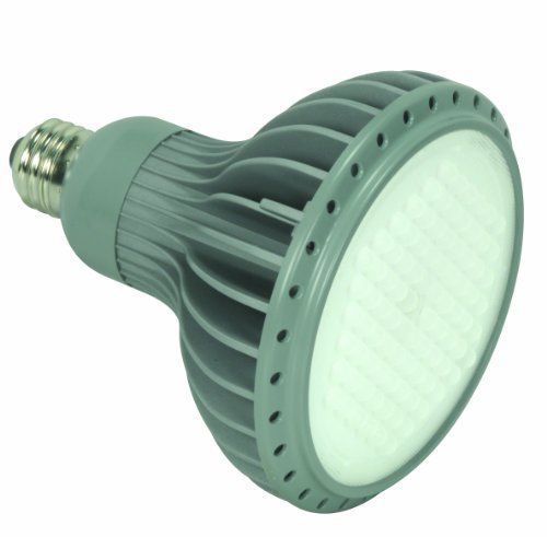 Kolourone s8817 14-watt 60 degree 2700k 120v  lumens 665 led par30/ln lamp  gray for sale