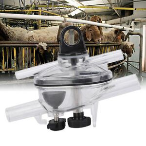 50ml Milking Claw Collector Milking Machine Accessories For Sheep Goat Cow