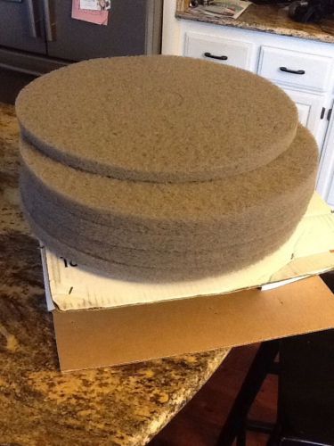 18&#034; champagne beige  burnishing pad  5 pack for sale