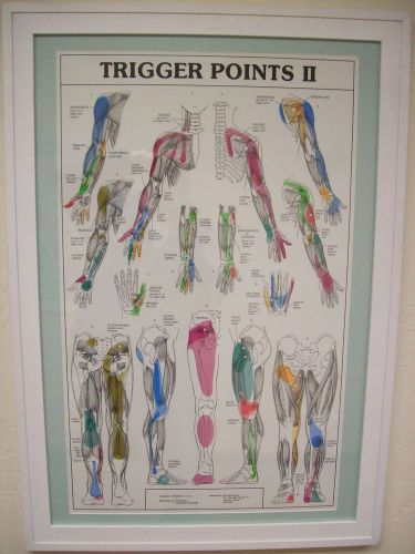 Massage/Chiropractic Trigger Point Chart Set White Framed