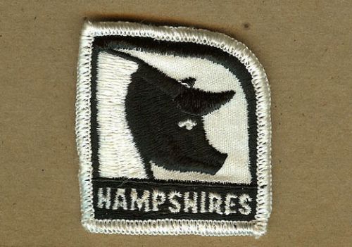 Vintage hampshires hog patch, hampshire sow, boar, pig swine (a) for sale