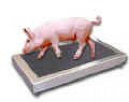 Vs-660 livestock veterinary animal dog goat calf hog pig sheep 4h for sale