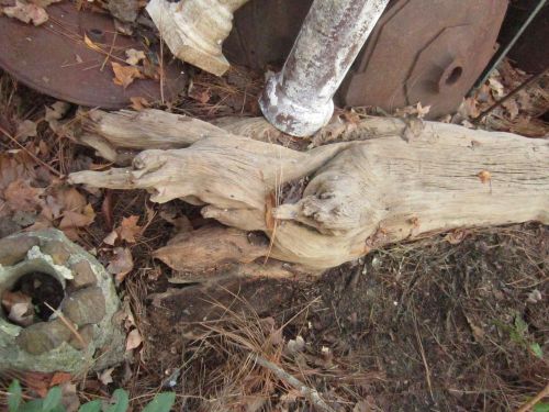 Old Growth Heart Pine Log Fat Lighter Kindling Carving Wood Working Antique 7ft