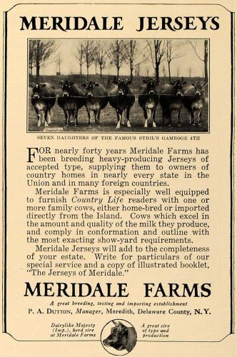 1925 Ad Meridale Farms P A Dutton Jersey Cows Breeders - ORIGINAL CL7