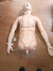 Head &amp; Torso Medical Airway Manikin With Wiring and cable- Male Catherization