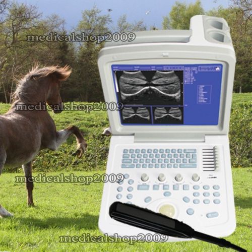 CONTEC Vet Veterinary Ultrasound Diagnostic System Scanneer  6.5MHz rectal probe