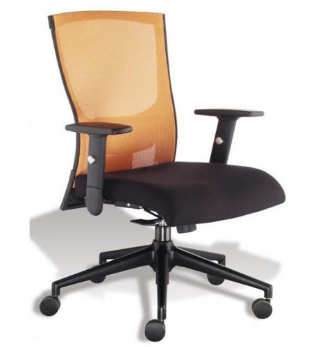 Adjustable Office Seat with Mesh Fabric Back