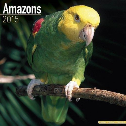 NEW 2015 Amazon Parrot Wall Calendar by Avonside- Free Priority Shipping!