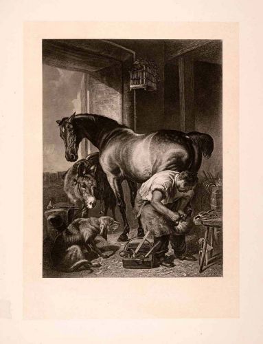 1876 heliogravure edwin landseer art horse shoe farrier donkey dog farm xap1 for sale