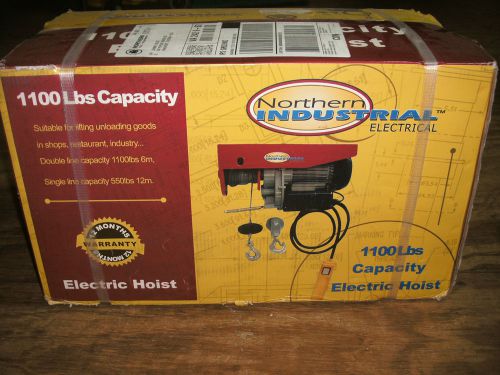 1100 lbs capacity electric hoist