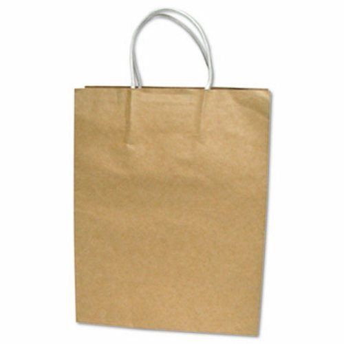 Cosco Premium Large Brown Paper Shopping Bag, 50/Box (COS091566)