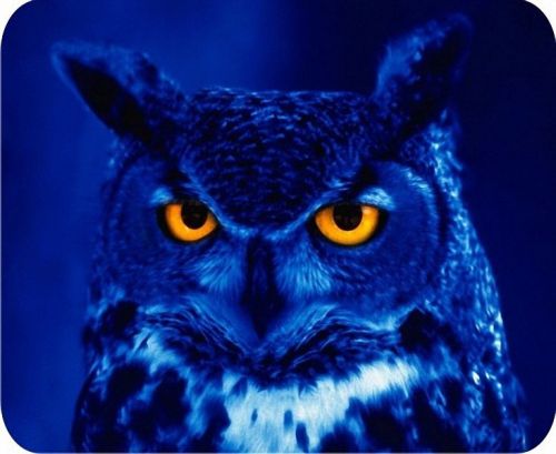 New Blue Owl Mouse Pad Mats Mousepad Hot Gift