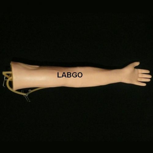 Injection training arm human anatomical model labgo gb5 for sale