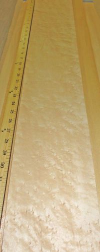 Birdseye Maple wood veneer 5&#034; x 41&#034; raw no backing 1/42&#034; thickness sample size