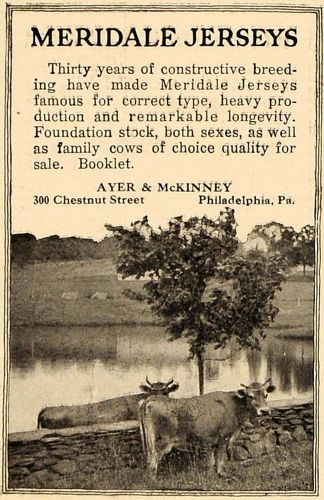 1919 ad meridale jersey cow ayer mckinney philadelphia - original cl4 for sale