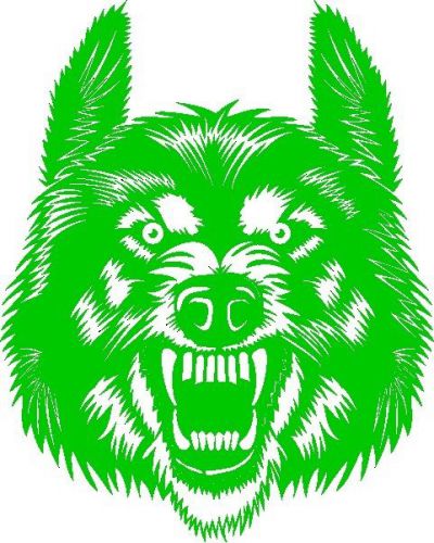 30 Custom Wild Green Wolf Personalized Address Labels