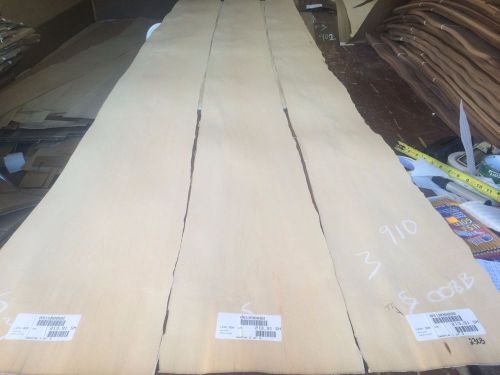 Wood Maple   Veneer  113x9,10,12,  total 3pcs RAW VENEER  1/46 N910.