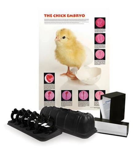 Chicken embryo class set for sale