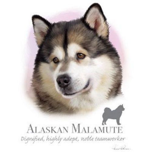 Alaskan Malamute Dog HEAT PRESS TRANSFER T Shirt Sweatshirt Fabric Print  802d