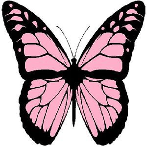30 Custom Pink Monarch Butterfly Personalized Address Labels
