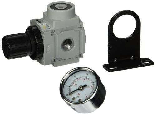 PneumaticPlus PPR2-N02BG-2 Miniature Air Pressure Regulator 1/4&#034; NPT - Gauge ...