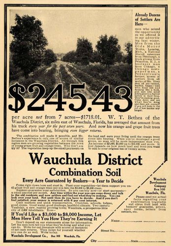 1914 ad wauchula combination soil farming plots sale - original advertising tw1 for sale