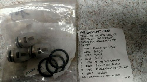 Cat pumps valve kit 30821
