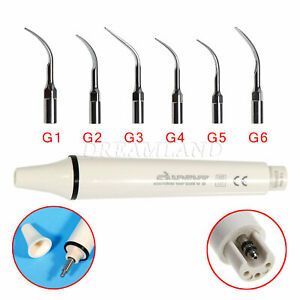 Dental Scaler Scaling Handpiece fit Woodpecker EMS / 10*Scaling tips G1-G6