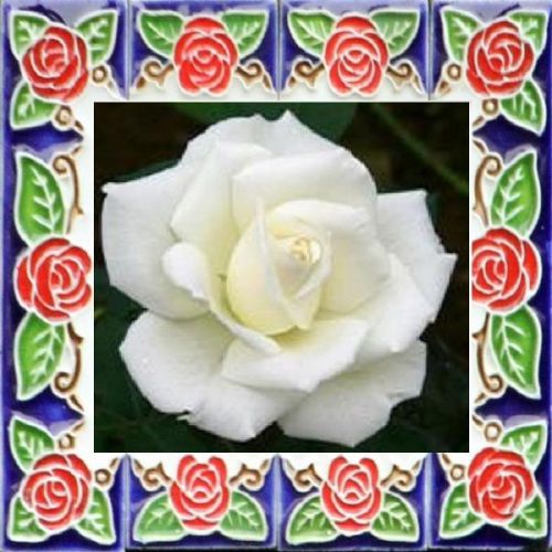 30 Custom White  Rose Tile Art Personalized Address Labels