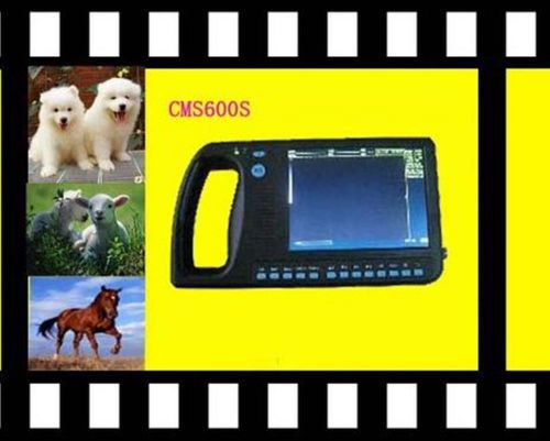 Contec cms600s digital palmsmart uitrasound scanner machine+6.5mhz rectal probe for sale