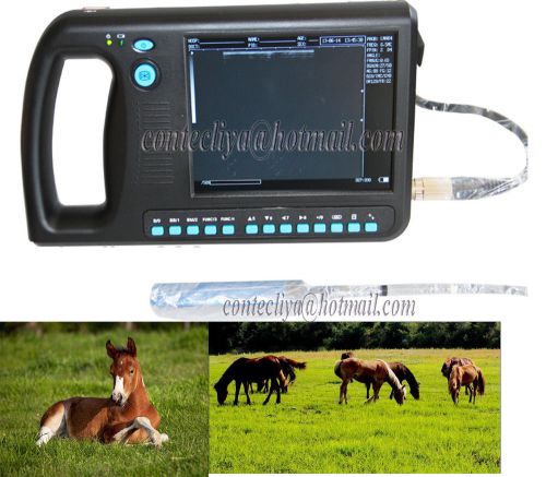 Big Sale Vet Use CE Software Digital PalmSmart Ultrasound Machine+Rectal Probe