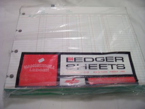 Hammermill Ledger/Accounting Sheets 100 sheets