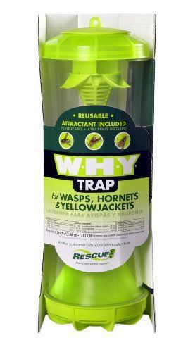 Rescue W?H?Y Trap for Wasps  Hornets &amp; Yellow jackets