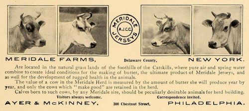 1909 Ad Ayer McKinney Meridale Farms Jerseys Cows Sire - ORIGINAL CL4