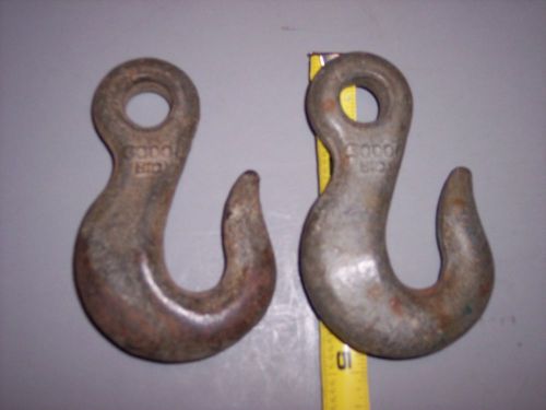 2  hoist hooks 3000 lb for sale