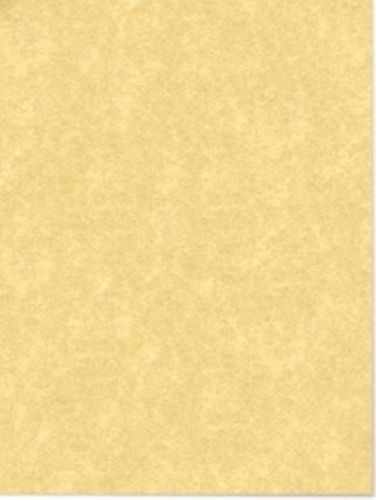 M00170 morezmore 25 heavy thick parchment paper relic gold cardstock card stock for sale