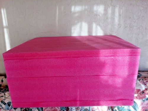 Shockproof Pink Anti Static Foam Shipping  box