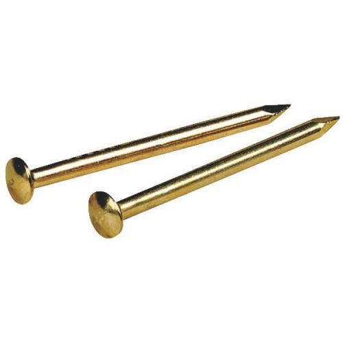 Brass-plated steel escutcheon pin-5/8x18 escutcheon pin for sale