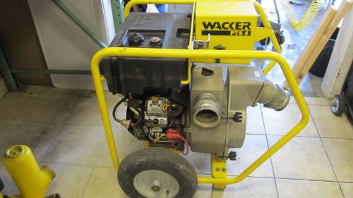 Brand new genuine wacker trash pump - pts 4 pts4v pts4 free shipping usa for sale