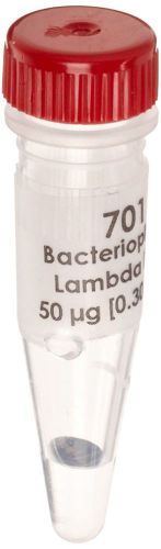 Edvotek 701 Bacteriophage Lambda DNA, 50 micrograms