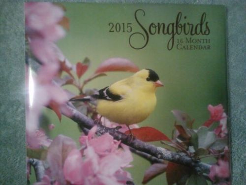 New Song Birds 16 Month Calendar 2015 Office work home11&#034;X 12&#034;