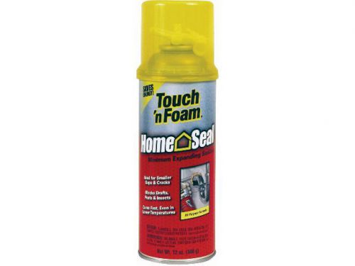 Touch &#039;N Foam 12-OZ Minimal Expansion Insulating Foam Sealant