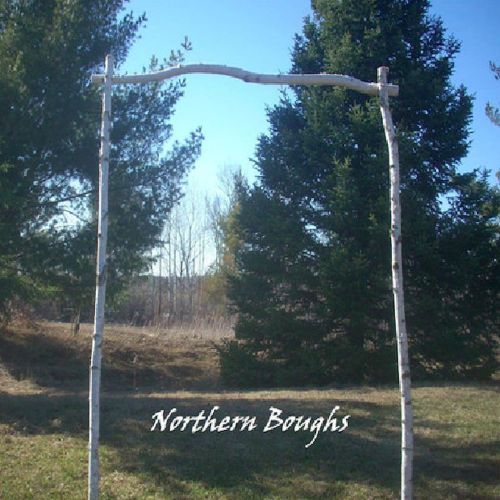 White Birch Wedding Arch Kit