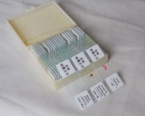 25pcs prepared basic science microscope slides in box for student 2box/lot for sale